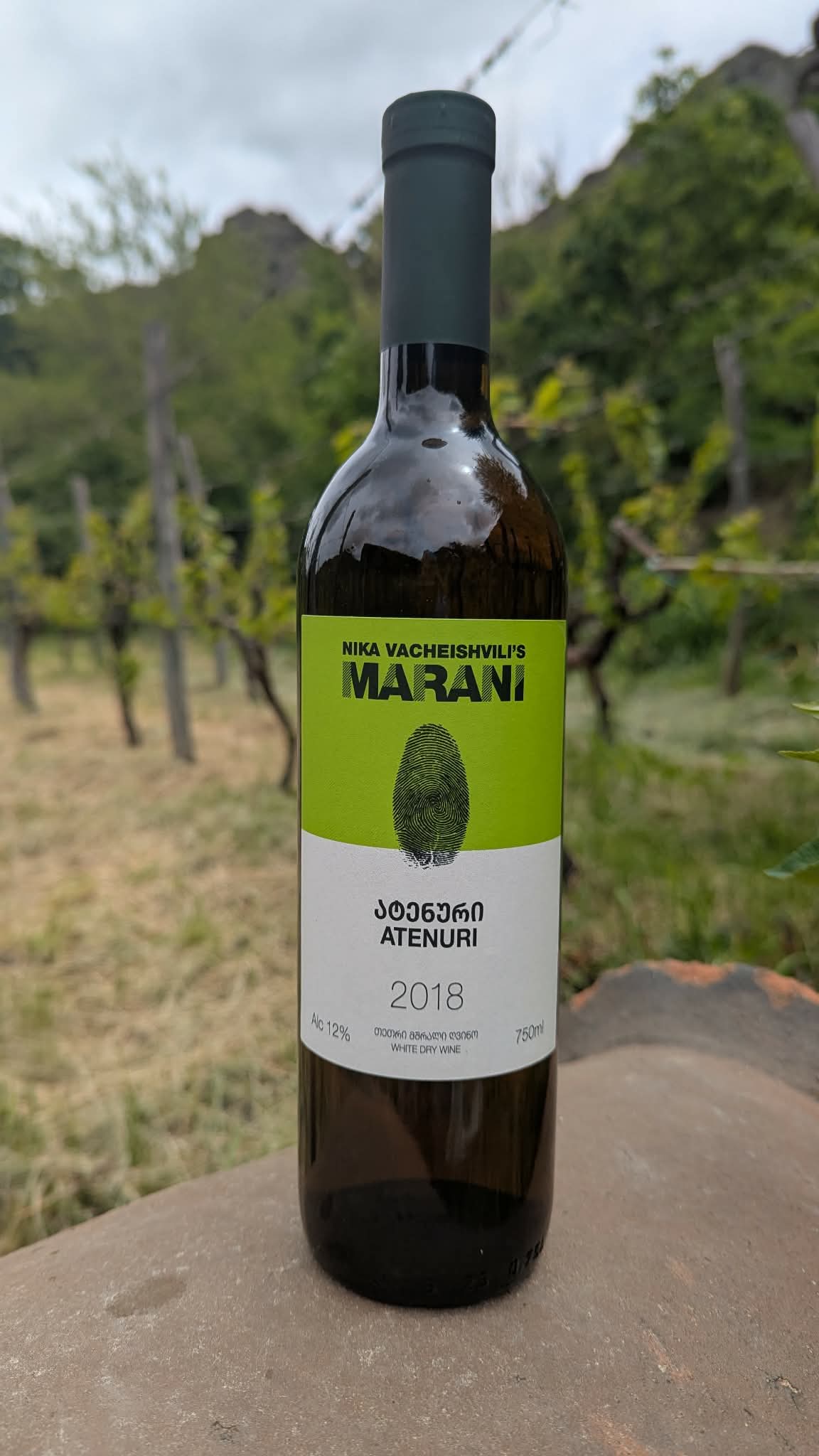 ატენური 2018
